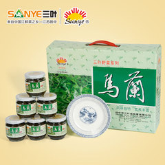 鎮江揚中特產三葉咸秧草開胃下飯菜醬菜馬蘭禮盒裝130gX6瓶